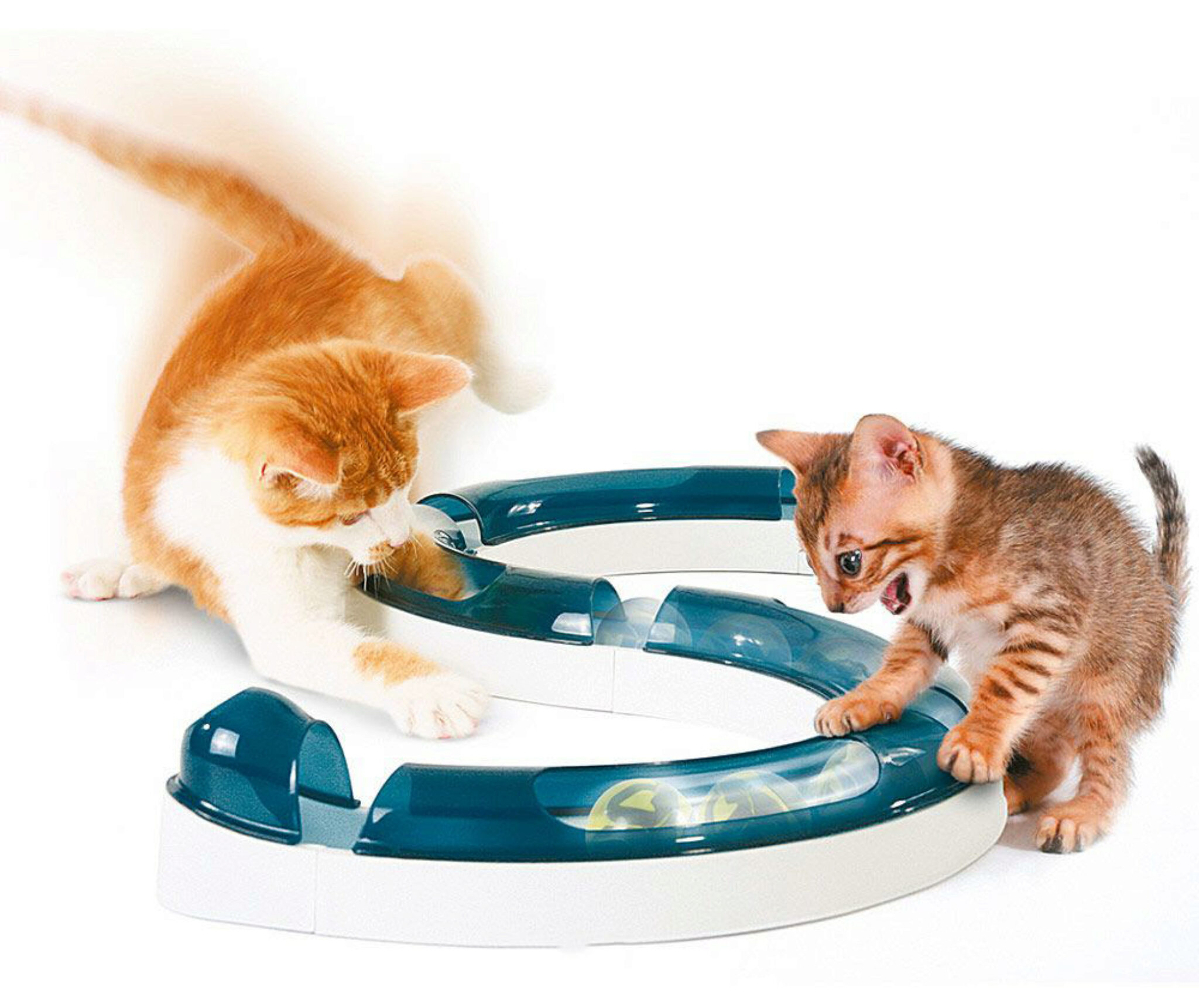 Cat Play Tunnel Pieghevole Lettino per Gatti/Conigli/Cane con 2 Canali Perfetto per Fare Gli Esercizi e Soddisfare la Curiosità al Gatto